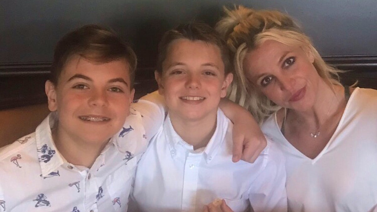 Britney Spears posts new photo of sons Preston and Jayden ...