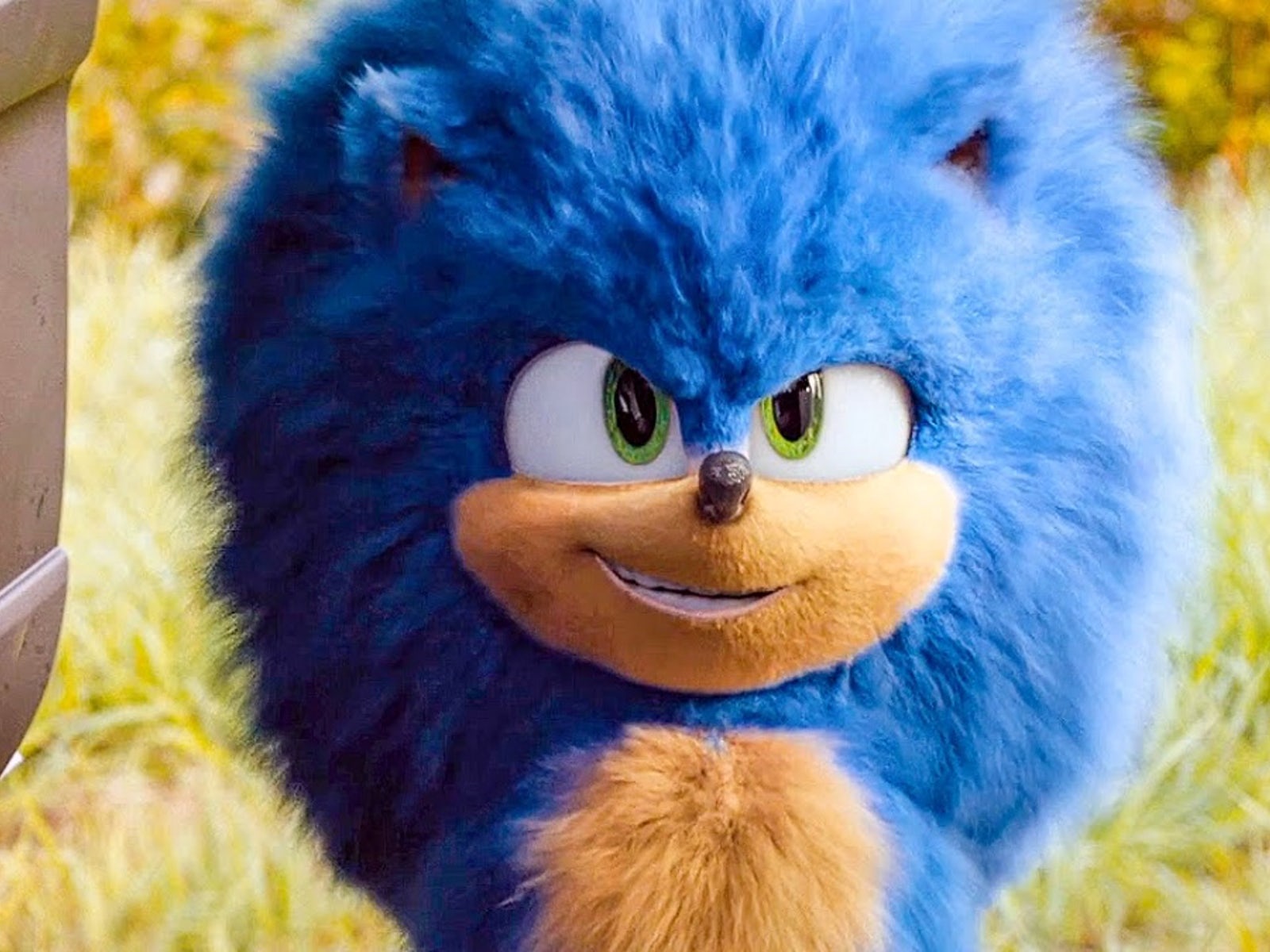 'Sonic the Hedgehog' movie star interviews athletes in