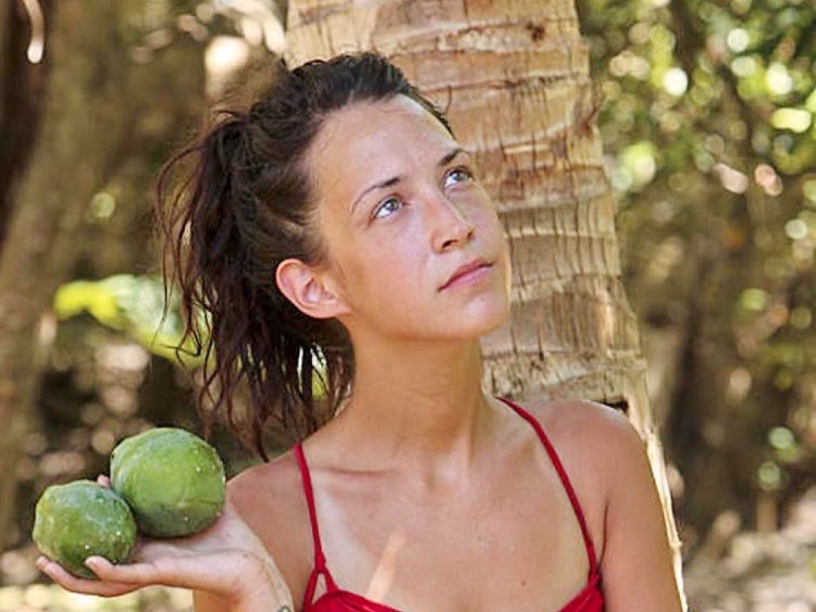 Survivor ciera