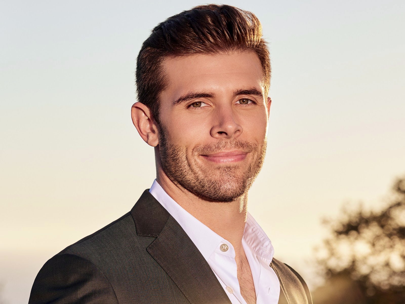 Bachelor Spoilers: New season-changing spoilers emerge for Zach Shallcross' 'The Bachelor' season (SPOILERS) - Vimarsana News